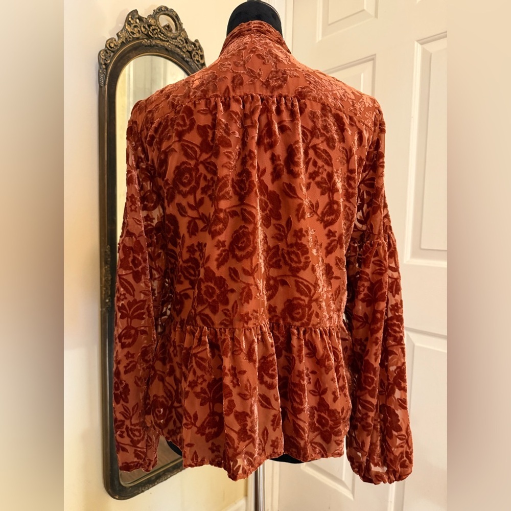 Anthropologie Rust Red Velvet Tie Front Blouse with Relaxed Sleeves - Picture 6 of 10